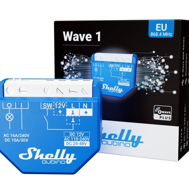 Shelly Wave 1 - Image 5
