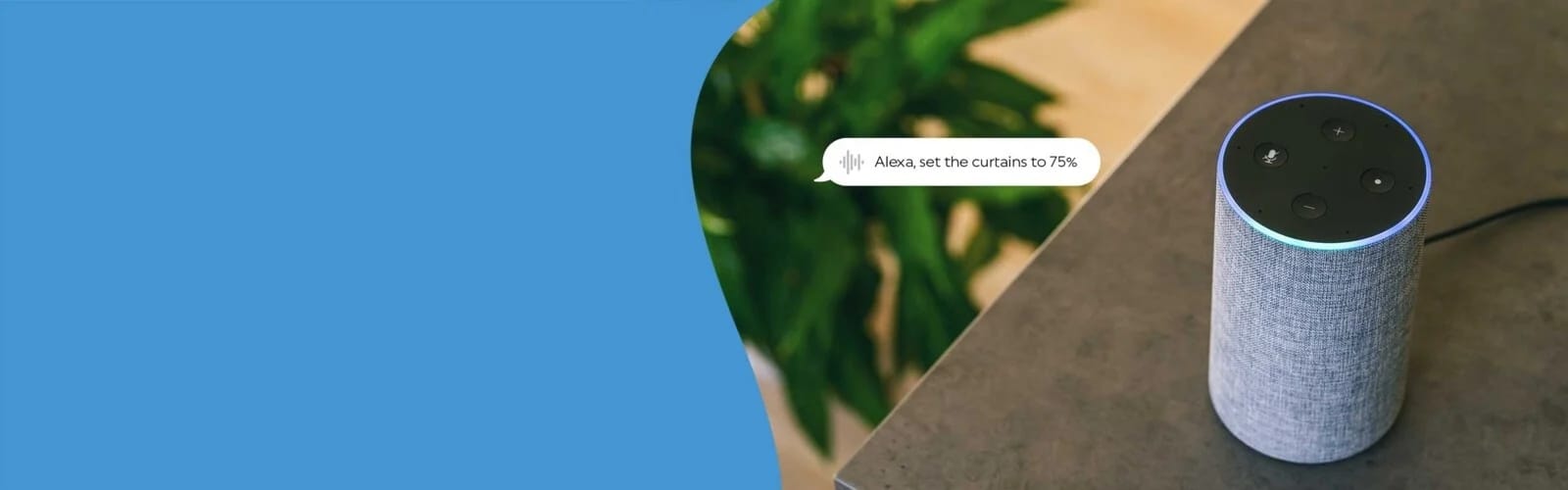 Amazon Alexa